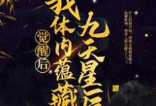 觉醒后，我体内蕴藏九天星辰章节免费在线阅读，龙尘梦琪完结版-读书翁