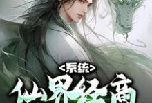 已完结小说《系统：仙界经商，我成无上古神》章节在线阅读-读书翁