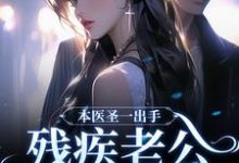 完结版《本医圣一出手，残疾老公傍地走》章节阅读-读书翁