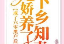 《成了六零黑户后，她娇养了下乡知青》小说章节在线试读，《成了六零黑户后，她娇养了下乡知青》最新章节目录-读书翁