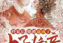 完结版《抄家后，她被逼成了太子娇妾》免费阅读-读书翁