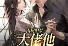 完结版《南柯旧梦：大佬他恋恋不忘》免费阅读-读书翁