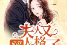 小说《BOSS，夫人又人格分裂了》章节免费阅读-读书翁