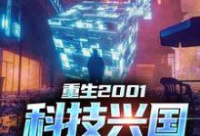 完结版《重生2001：科技兴国，势在必得》章节阅读-读书翁