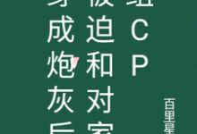 许鹿白裴宴舟的完整故事在哪里？读穿成炮灰后被迫和对家组cp小说-读书翁