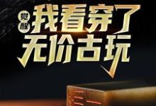 觉醒！我看穿了无价古玩小说无弹窗阅读的网站推荐-读书翁