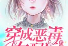 完结版《穿成恶毒女配后我爆红了》章节目录在线阅读-读书翁