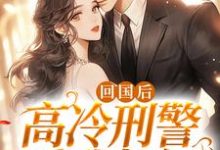 完结版《回国后，高冷刑警爱我如初》在线免费阅读-读书翁