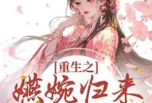 《重生之嬿婉归来大杀四方》小说主角卫嬿婉章节章节免费在线阅读-读书翁