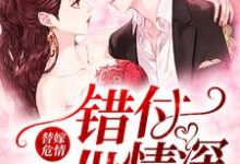 完结版《替嫁危情：错付一世情深》章节阅读-读书翁