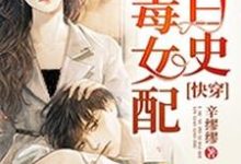 完结版《快穿：恶毒女配洗白史》在线免费阅读-读书翁