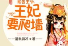 完结版《报告王爷，王妃要爬墙》在线免费阅读-读书翁