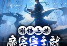 小说《刚接上单，魔宗宗主就让我弃暗投明》章节免费阅读-读书翁