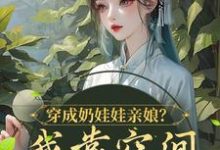 穿成奶娃娃亲娘？我靠空间养活他们最新章节，穿成奶娃娃亲娘？我靠空间养活他们免费阅读-读书翁