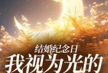 完结版《结婚纪念日，我视为光的老公出轨了》在线免费阅读-读书翁