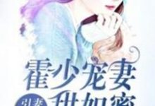 完结版《引妻入怀：霍少宠妻甜如蜜》免费阅读-读书翁