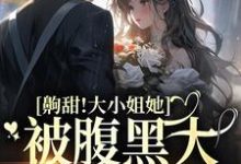 完结版《齁甜！大小姐她被腹黑大佬掐腰宠》章节目录在线阅读-读书翁