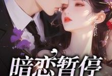 完结版《暗恋暂停，开始恋爱》章节阅读-读书翁