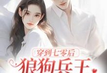 完结版《穿到七零后，狼狗兵王非我不娶了》免费阅读-读书翁