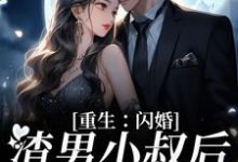 重生：闪婚渣男小叔后，她赢麻了小说最新更新在哪里？免费在线看-读书翁