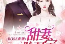 BOSS来袭：甜妻一胎双宝小说最新章节在哪里可以读到？-读书翁