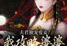 小说《夫君独宠爱妾？我攻略婆婆来撑腰》章节免费阅读-读书翁