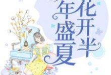 完结版《那年盛夏花开半》免费阅读-读书翁