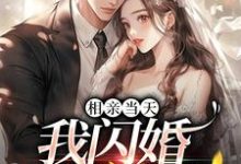 小说《相亲当天：我闪婚亿万富豪》在线章节阅读-读书翁