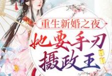 完结版《重生新婚之夜，她要手刃摄政王》章节阅读-读书翁