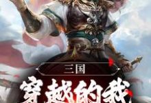 三国：穿越的我，成曹操主谋？最新章节，三国：穿越的我，成曹操主谋？免费阅读-读书翁