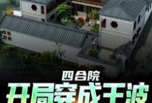 小说《四合院：开局穿成王波，拒绝白嫖》在线章节阅读-读书翁