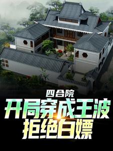 小说《四合院：开局穿成王波，拒绝白嫖》在线章节阅读