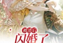 完结版《被渣后，闪婚了千亿霸总》章节阅读-读书翁