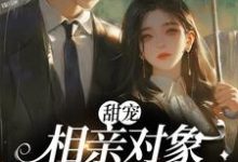 小说《甜宠：相亲对象是甲方大佬》在线章节阅读-读书翁