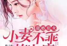 甜婚似火：小妻不乖，撩上瘾免费阅读，甜婚似火：小妻不乖，撩上瘾章节在线阅读-读书翁