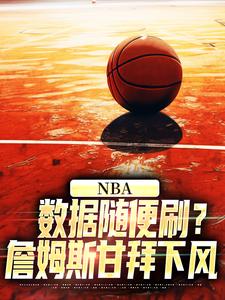 NBA：数据随便刷？詹姆斯甘拜下风免费阅读，NBA：数据随便刷？詹姆斯甘拜下风章节在线阅读