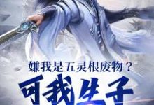 完结版《嫌我是五灵根废物？可我生子就无敌》免费阅读-读书翁