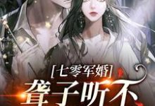 完结版《聋子听不到你说爱她》在线免费阅读-读书翁