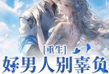 完结版《重生：好男人别辜负，渣男别放过》章节目录在线阅读-读书翁