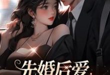 先婚后爱，总裁乖乖躺好小说，先婚后爱，总裁乖乖躺好章节在线阅读-读书翁