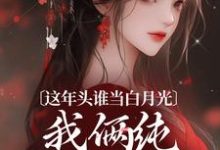 完结版《这年头谁当白月光，我俩纯纯走剧情》章节阅读-读书翁