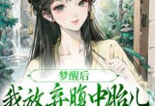 《梦醒后，我放弃腹中胎儿与夫君和离》全集免费在线阅读（黎姝临渊）-读书翁