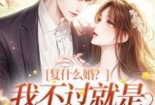 完结版《复什么婚？我不过就是个备胎嘛！》在线免费阅读-读书翁