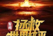 完结版《军阀：拯救世界核平》章节目录在线阅读-读书翁