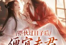 完结版《搭伙过日子后，便宜夫君沦陷了》章节阅读-读书翁