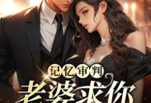 已完结小说《记忆审判：老婆求你看我一眼》章节免费阅读-读书翁