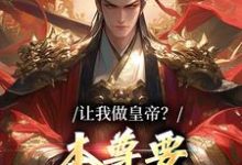 让我做皇帝？本尊要执掌九重天秦风在线章节免费阅读-读书翁