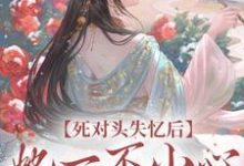 完结版《死对头失忆后，她一不小心撩过了头》章节目录在线阅读-读书翁