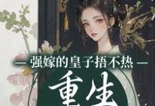 完结版《强嫁的皇子捂不热，重生她不要了》在线免费阅读-读书翁