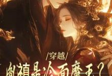 完结版《穿越：胤禛是冷面魔王？历史骗我！》章节阅读-读书翁